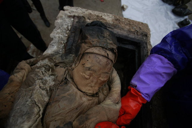 Lông mày xác ướp vẫn còn nguyên. Lông mày xác ướp vẫn còn nguyên