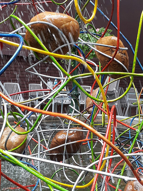 Cây thông làm từ sợi sắt: Hứa hẹn là điểm selfie đẹp mắt mùa Noel ảnh 2