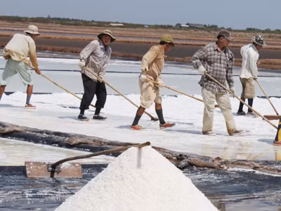 Vụ muối trước, Bạc Liêu vẫn còn tồn đọng 80.000 tấn muối