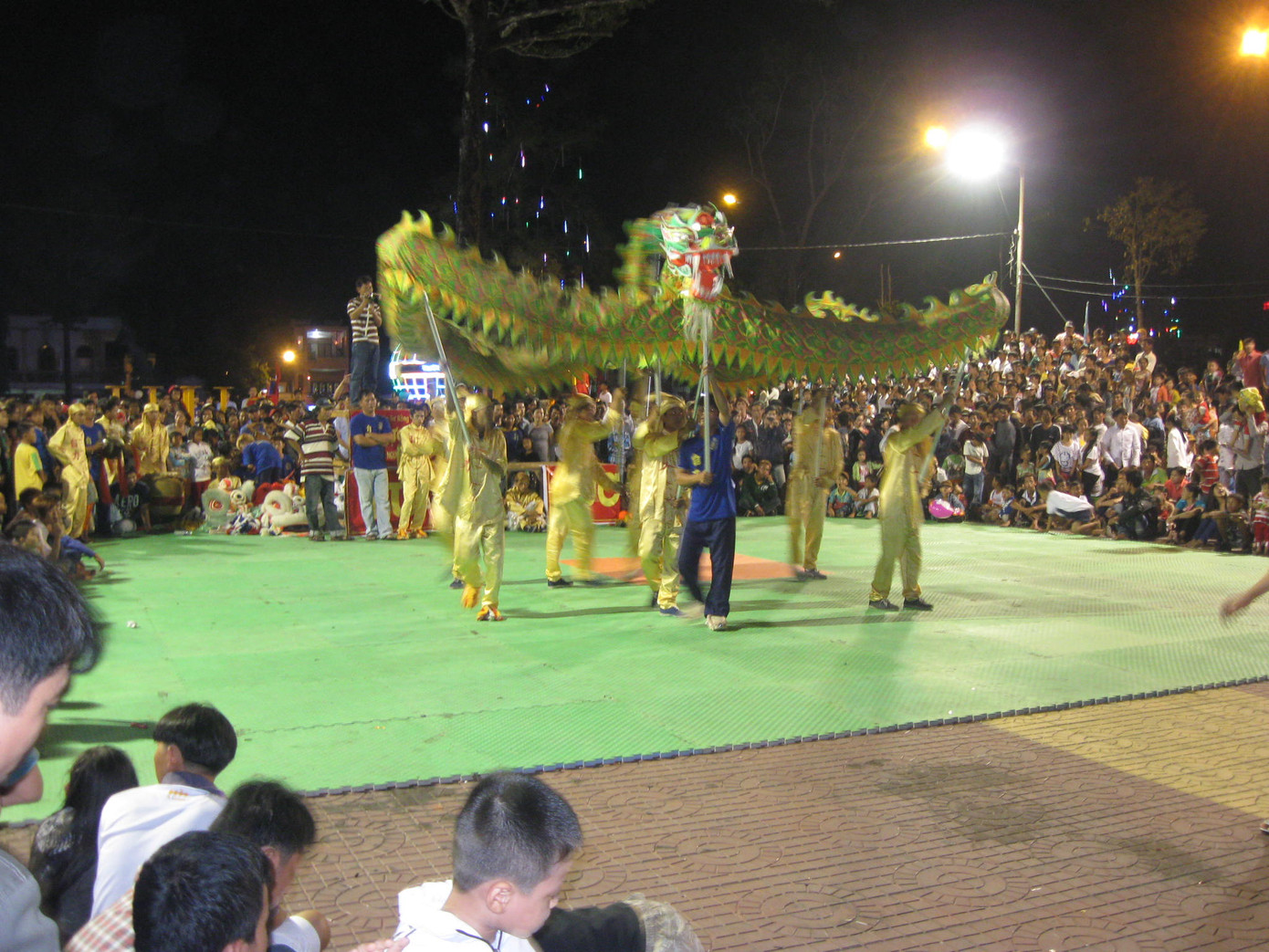 Xem biểu diễn múa lân