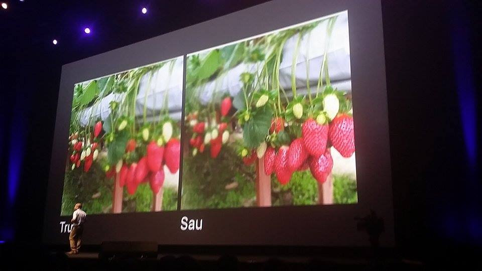 Giá Bphone mạ vàng đắt ngang iPhone 6 Plus ảnh 28