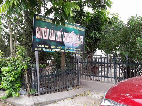 Ngang nhiên xây nhà trái phép trên hồ sen Đầm Trị ảnh 2