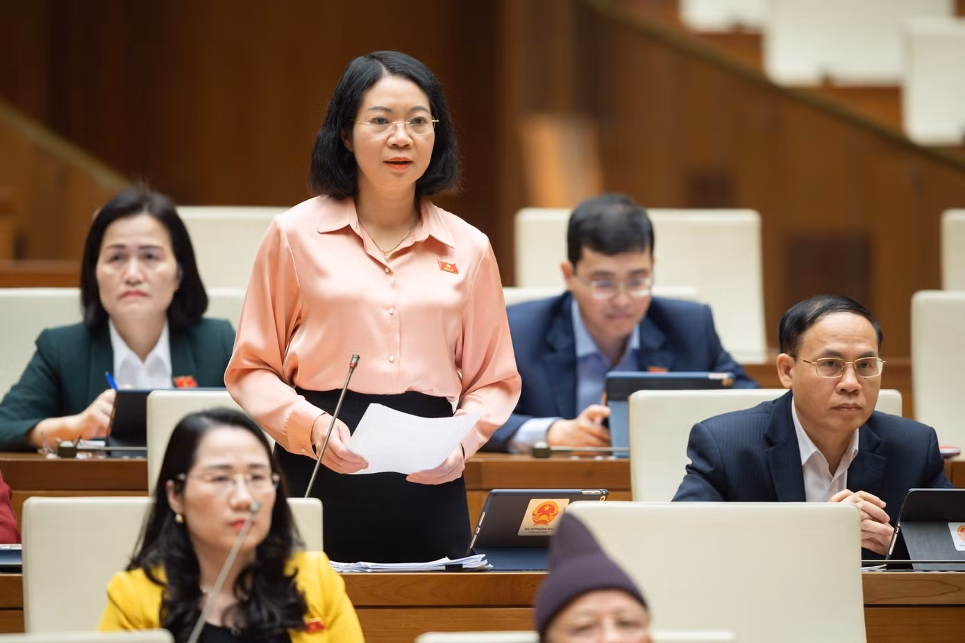 Đại biểu Mai Thị Phương Hoa (đoàn Nam Định)