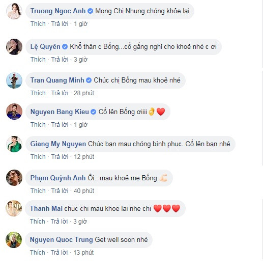 Ca sỹ Hồng Nhung nhập viện sau khi chồng cũ nói về tình mới ảnh 4