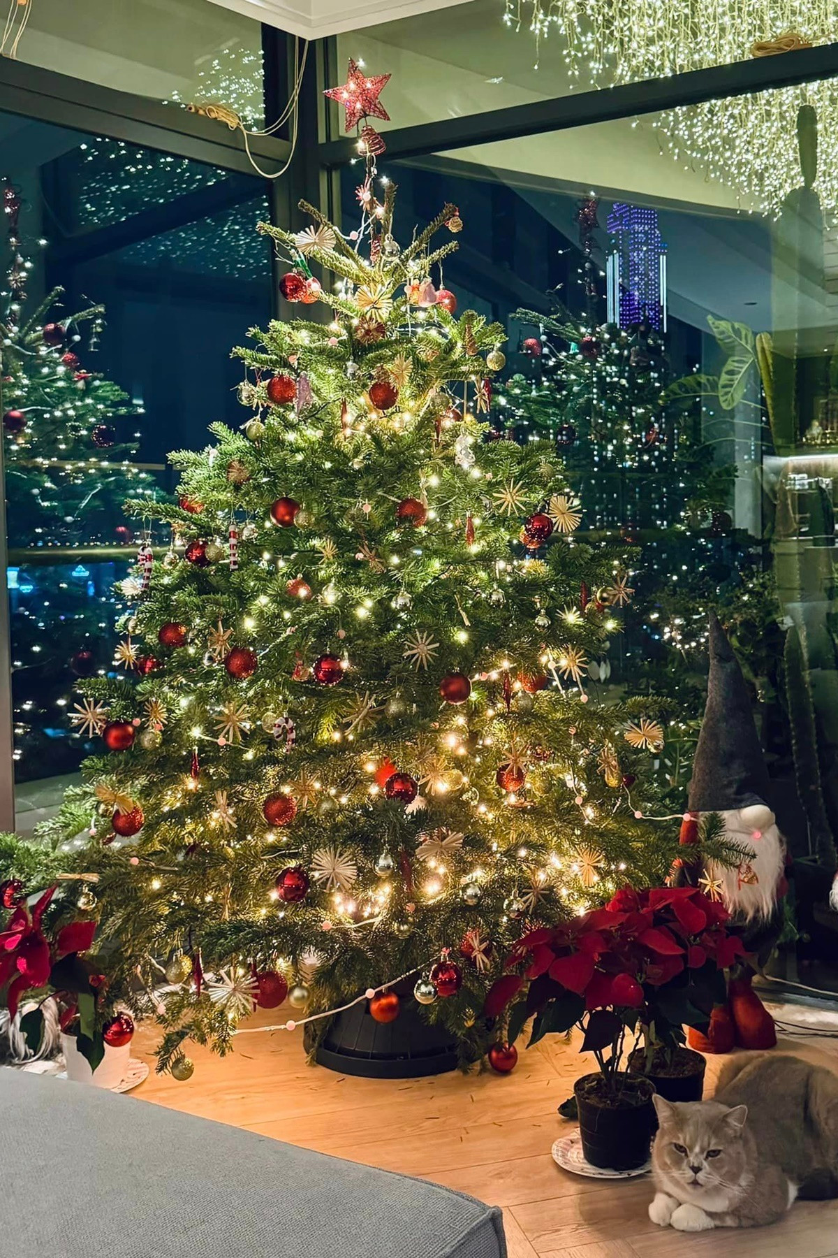 Minh Tú và chồng ngoại quốc trang trí căn hộ ở TPHCM bằng cây thông Noel cỡ lớn với nhiều đèn rực rỡ. Minh Tú và chồng ngoại quốc trang trí căn hộ ở TPHCM bằng cây thông Noel cỡ lớn với nhiều đèn rực rỡ.