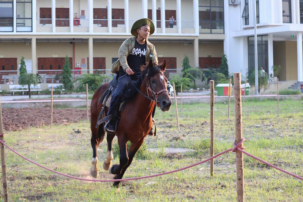 Hội nghị có tổng số 179 công trình khoa học, trong đó có 124 công trình khoa học được đăng tải trên Kỷ yếu toàn văn và 55 bài báo đăng trên các Tạp chí KHKT chăn nuôi (25 bài), Tạp chí KHKT Thú y (15 bài), Tạp chí Khoa học Nông nghiệp Việt Nam (15 bài).