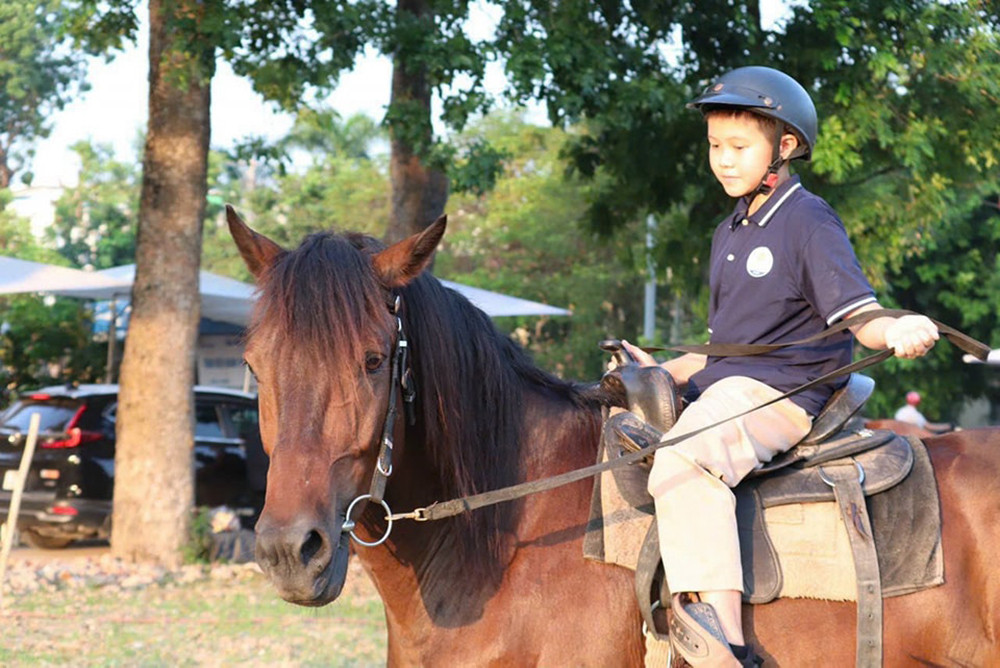 Hội nghị có tổng số 179 công trình khoa học, trong đó có 124 công trình khoa học được đăng tải trên Kỷ yếu toàn văn và 55 bài báo đăng trên các Tạp chí KHKT chăn nuôi (25 bài), Tạp chí KHKT Thú y (15 bài), Tạp chí Khoa học Nông nghiệp Việt Nam (15 bài).