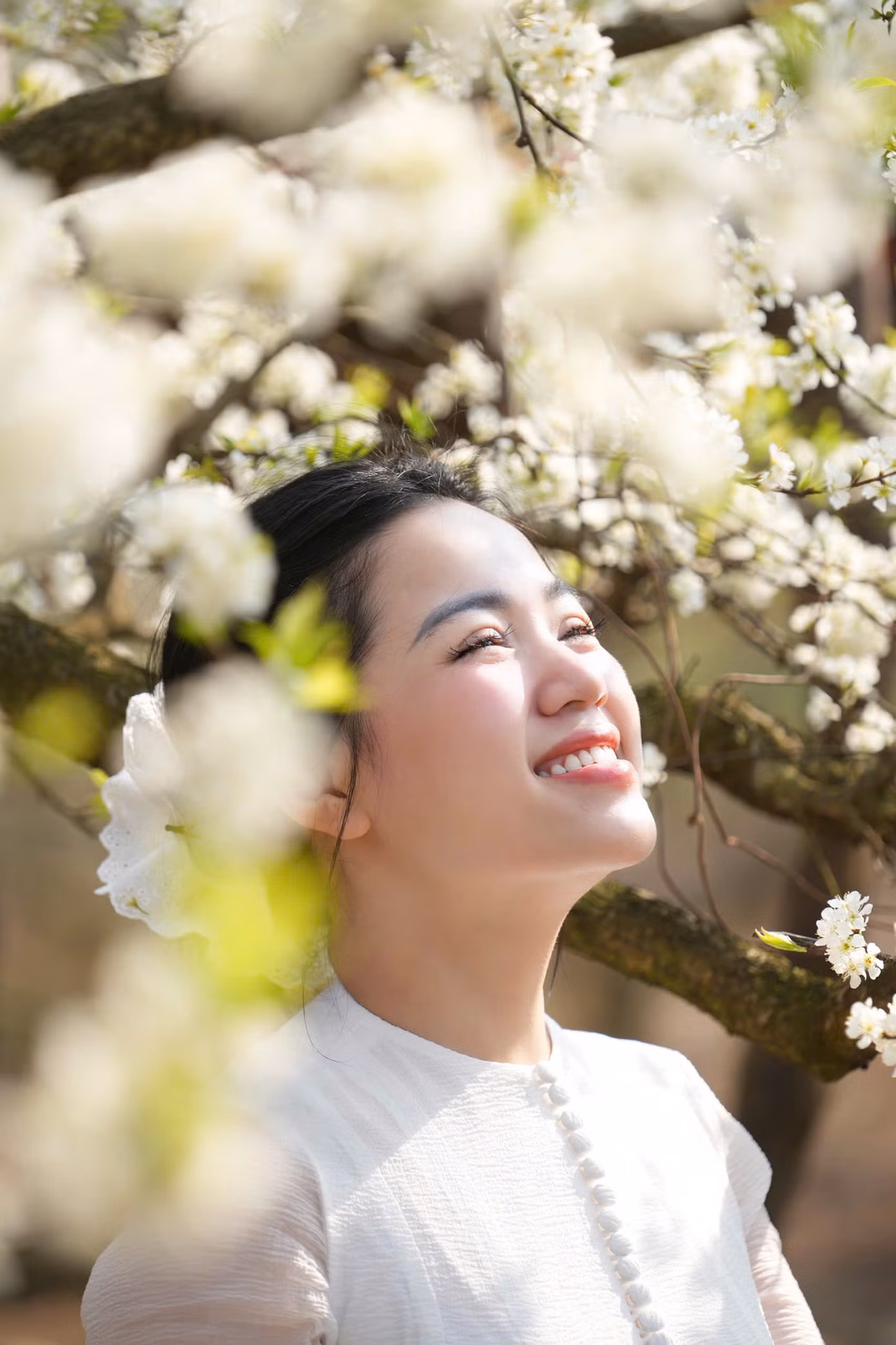 Chị Đồng Thu khoe bộ ảnh bên vườn mận trắng xóa.