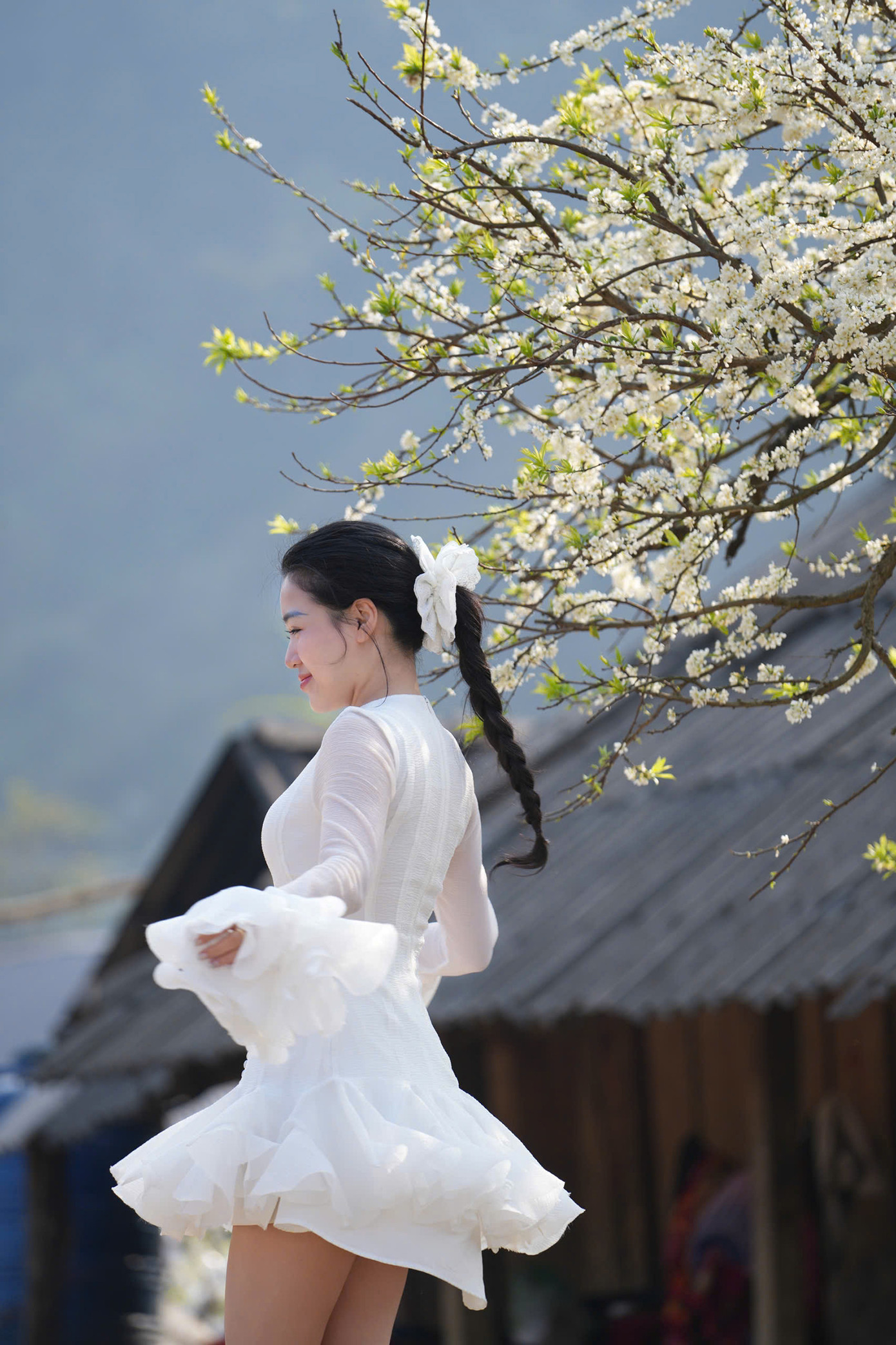 Mộc Châu (Sơn La) những ngày đầu năm 2025 trở thành điểm đến hot nhất trên mạng xã hội, khi bạn trẻ đổ về đây để check-in cùng vườn mận trắng muốt.