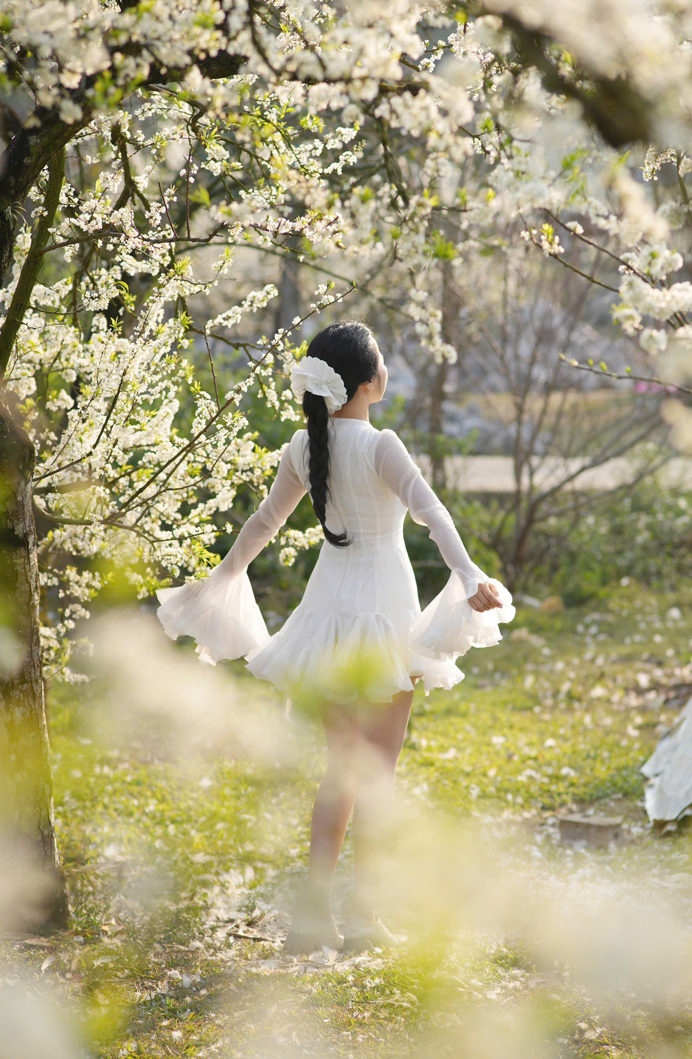 Mộc Châu (Sơn La) những ngày đầu năm 2025 trở thành điểm đến hot nhất trên mạng xã hội, khi bạn trẻ đổ về đây để check-in cùng vườn mận trắng muốt.