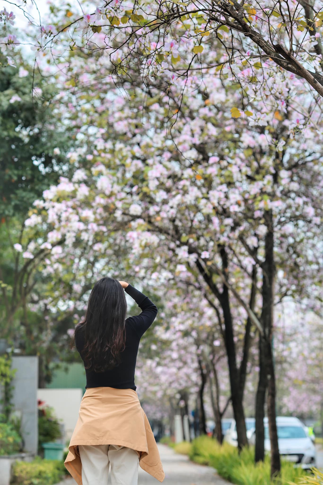 Nhiều bạn trẻ chọn nơi đây chụp ảnh kỉ niệm. Ảnh: PHẠM THỊ THUỲ TRANG Nhiều bạn trẻ chọn nơi đây chụp ảnh kỉ niệm. Ảnh: PHẠM THỊ THUỲ TRANG