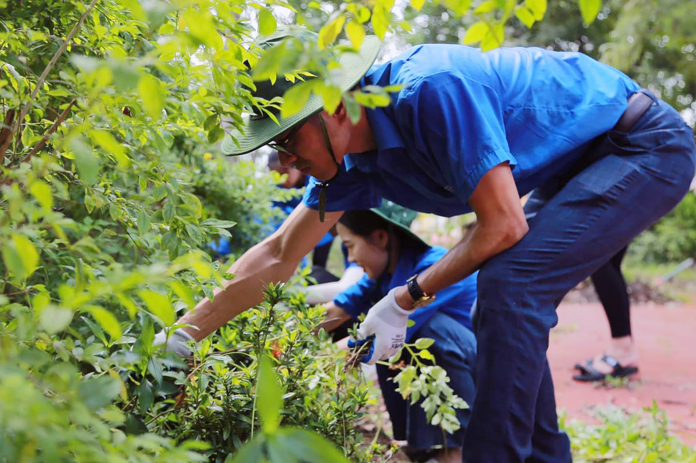 Sinh viên tình nguyện trường ĐH Hạ Long tham gia tình nguyện tại địa phương.