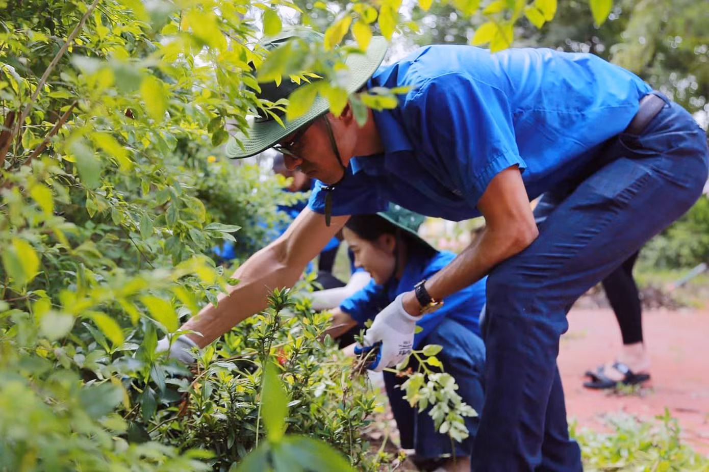 Sinh viên tình nguyện trường ĐH Hạ Long tham gia tình nguyện tại địa phương.