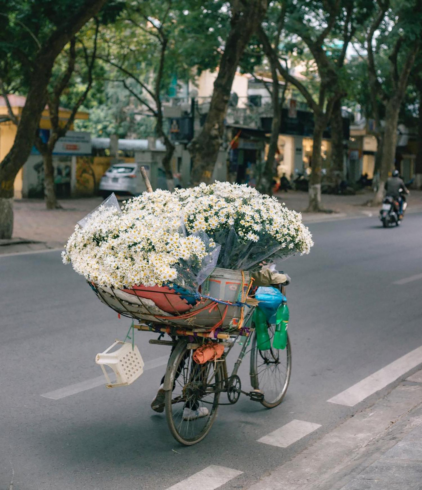 Những xe hoa di động, đưa loài hoa mùa Đông tới khắp các con phố của Thủ đô. Ảnh: TRƯƠNG ĐÌNH MINH