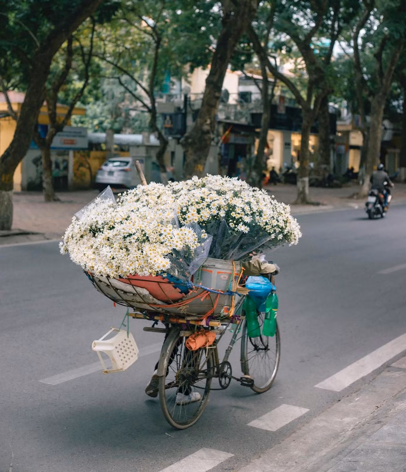 Những xe hoa di động, đưa loài hoa mùa Đông tới khắp các con phố của Thủ đô. Ảnh: TRƯƠNG ĐÌNH MINH