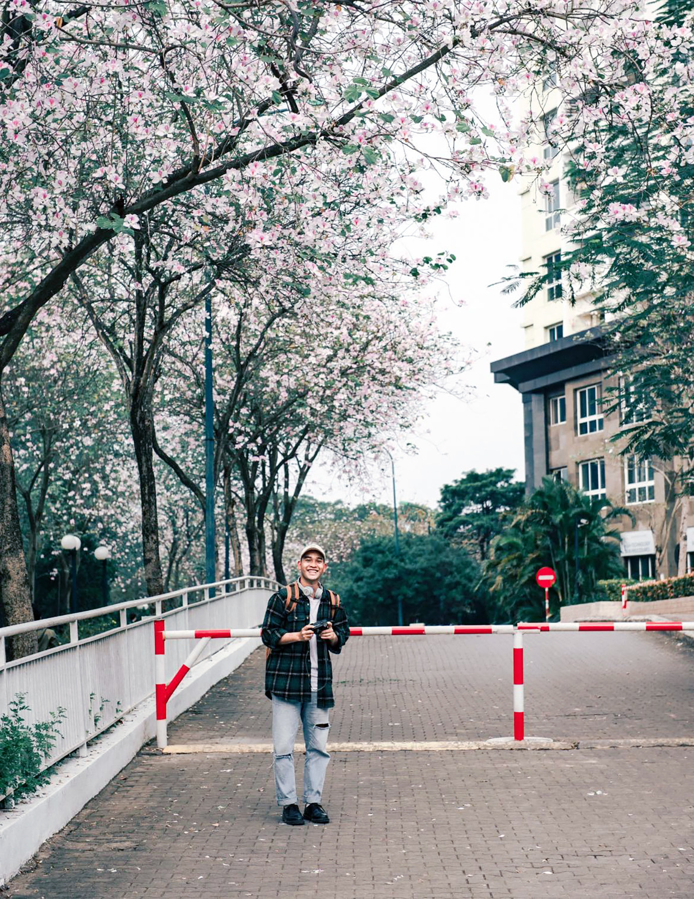 Con đường hoa ban với nhiều góc chụp ảnh "cực chill" dành cho giới trẻ. Ảnh: BÙI NGỌC CÔNG Con đường hoa ban với nhiều góc chụp ảnh "cực chill" dành cho giới trẻ. Ảnh: BÙI NGỌC CÔNG