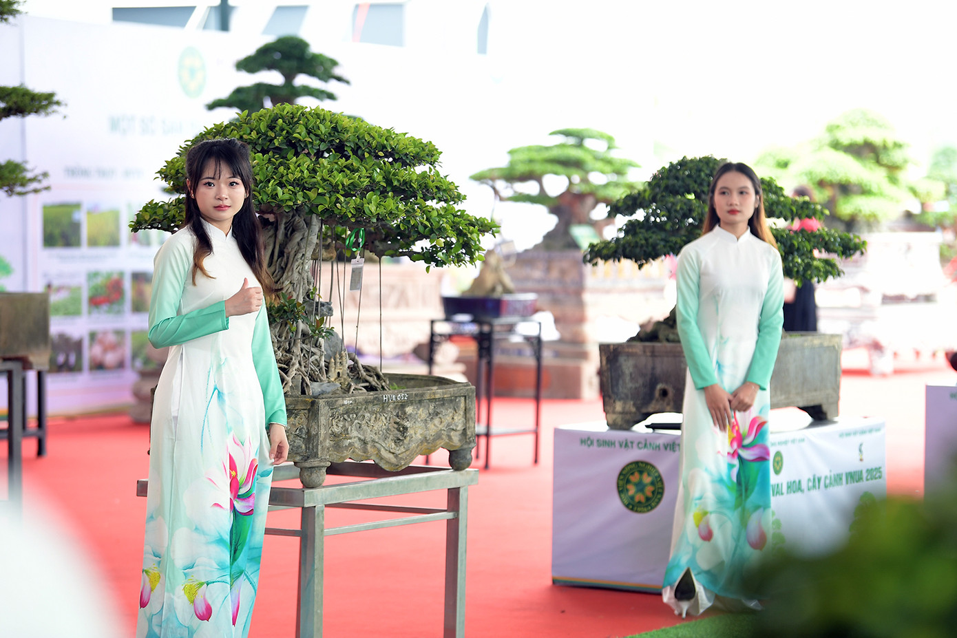 Hàng trăm cây cảnh có giá trị được trưng bày tại chương trình.