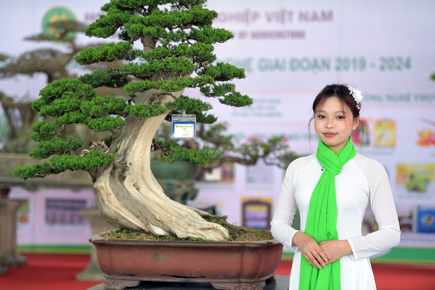 Hàng trăm cây cảnh có giá trị được trưng bày tại chương trình.