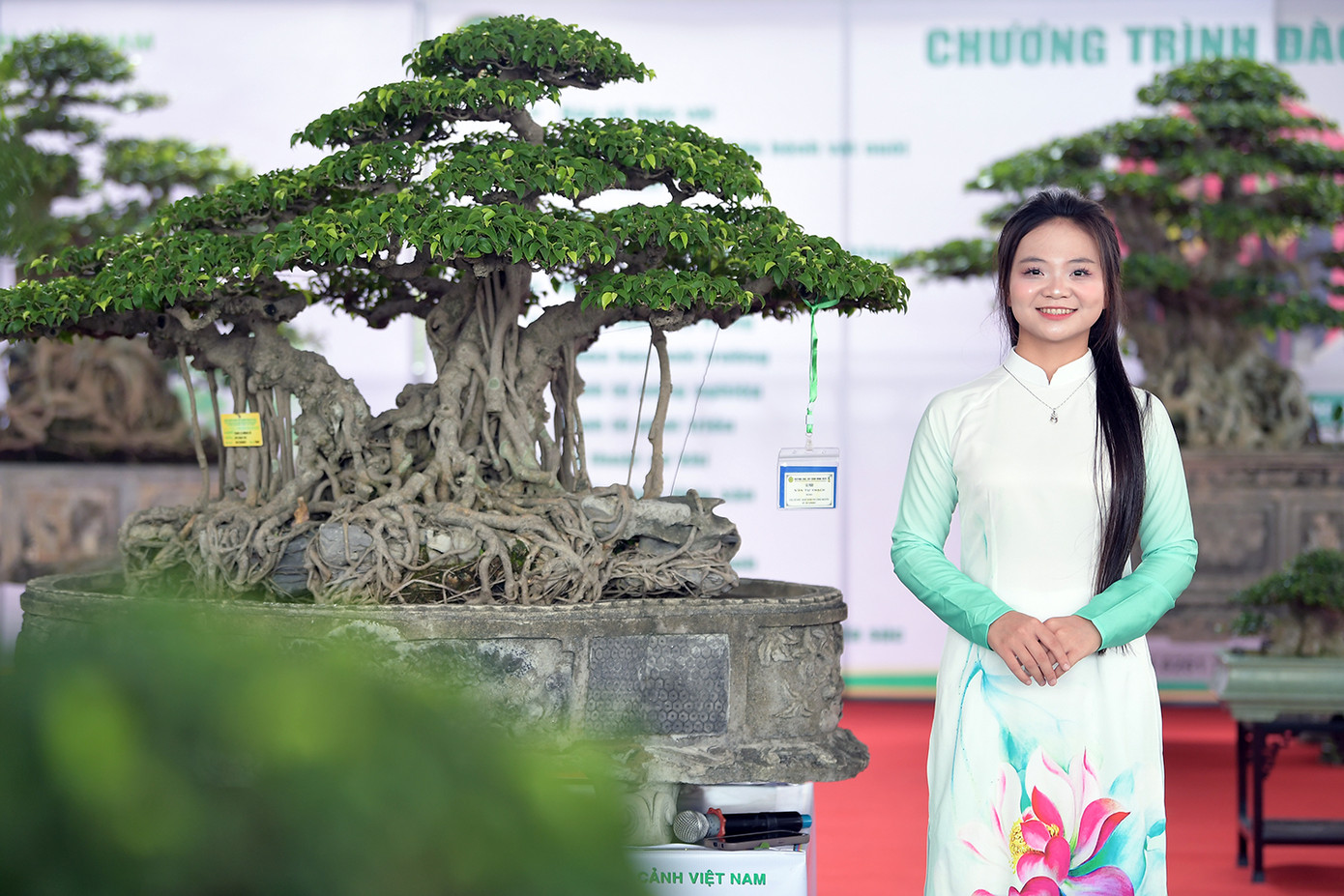 Hàng trăm cây cảnh có giá trị được trưng bày tại chương trình.