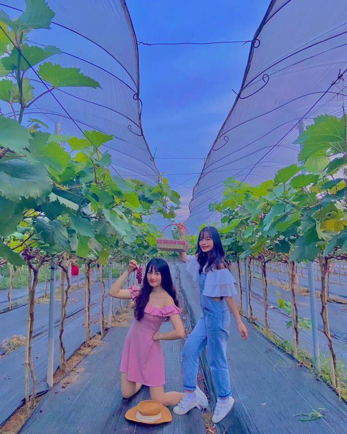 Vì nằm ở ngoại thành Hà Nội nên không gian ở đây vô cùng rộng rãi, thoải mái và dễ chịu. Vì nằm ở ngoại thành Hà Nội nên không gian ở đây vô cùng rộng rãi, thoải mái và dễ chịu.