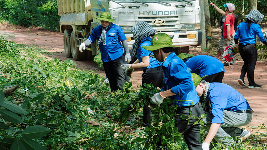 Những cành cây, cỏ dại ven đường được dọn dẹp.