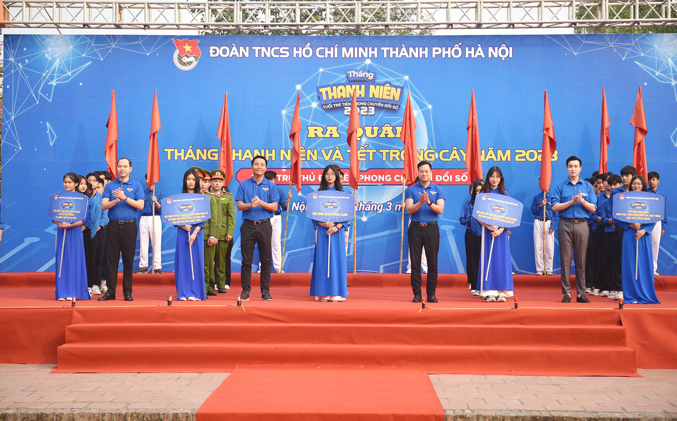 Các đội hình ra quân tại chương trình. Các đội hình ra quân tại chương trình.