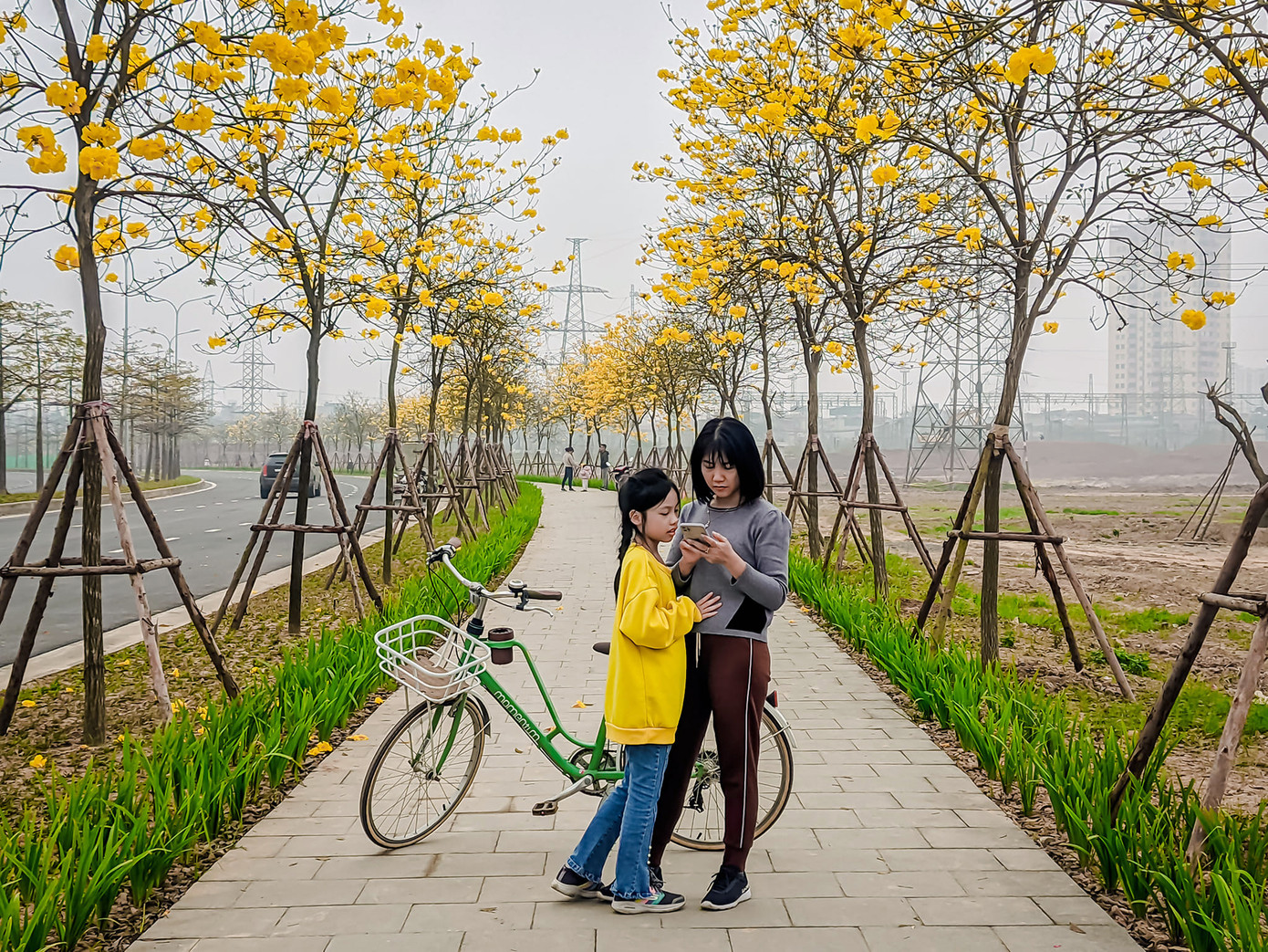 Hiện tại, rất đông bạn trẻ cùng một số người mới biết đến con phố trồng loại cây này. Ảnh: VƯƠNG LỘC