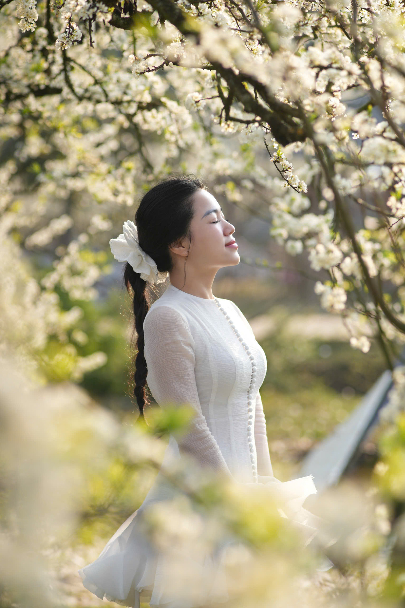 MC Đồng Thu khoe sắc giữa mùa hoa mận Mộc Châu.