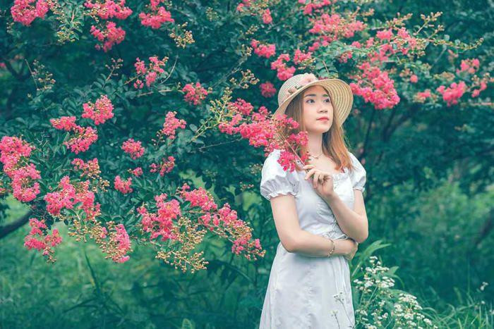 Nhiều khách du lịch từ khắp các tỉnh thành đều muốn đến Hà Nội để cùng ngắm loài hoa đặc biệt này. Ảnh: tantamstudio.com Nhiều khách du lịch từ khắp các tỉnh thành đều muốn đến Hà Nội để cùng ngắm loài hoa đặc biệt này. Ảnh: tantamstudio.com