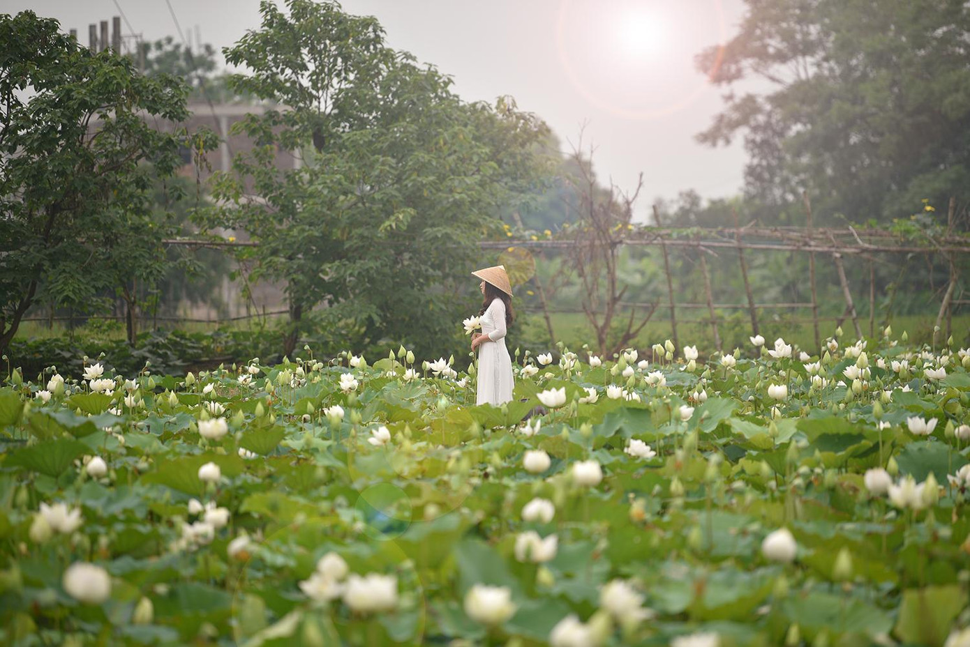 Khung cảnh đẹp mê hồn du khách tới chiêm ngưỡng và chụp ảnh.
