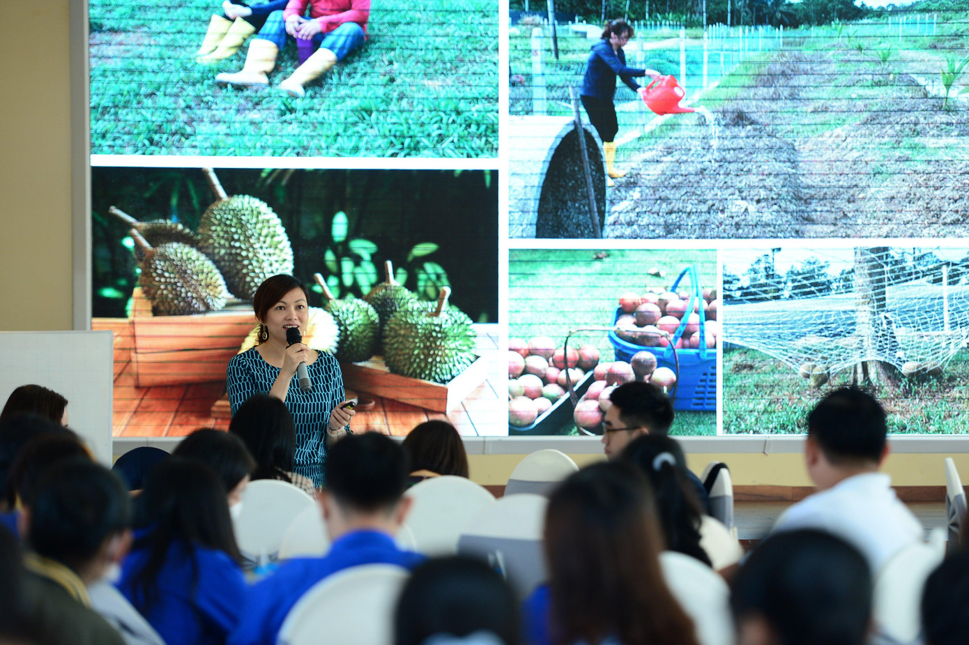 Các chuyên gia tham gia hỗ trợ tại buổi tập huấn.