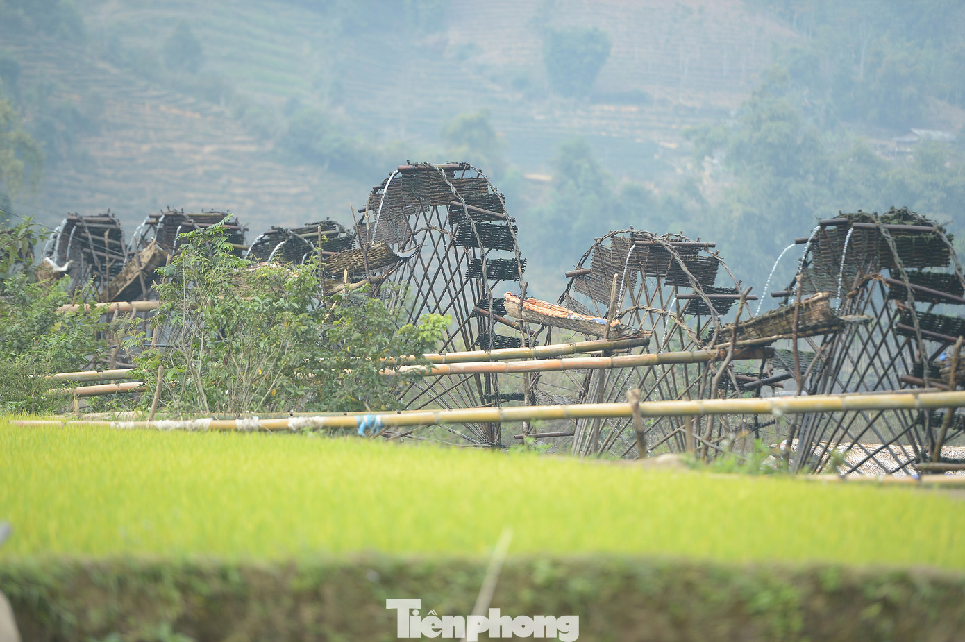 Công trình thuỷ lợi này góp phần chủ động cho việc sản xuất nông nghiệp của đồng bào nơi đây. Công trình thuỷ lợi này góp phần chủ động cho việc sản xuất nông nghiệp của đồng bào nơi đây.