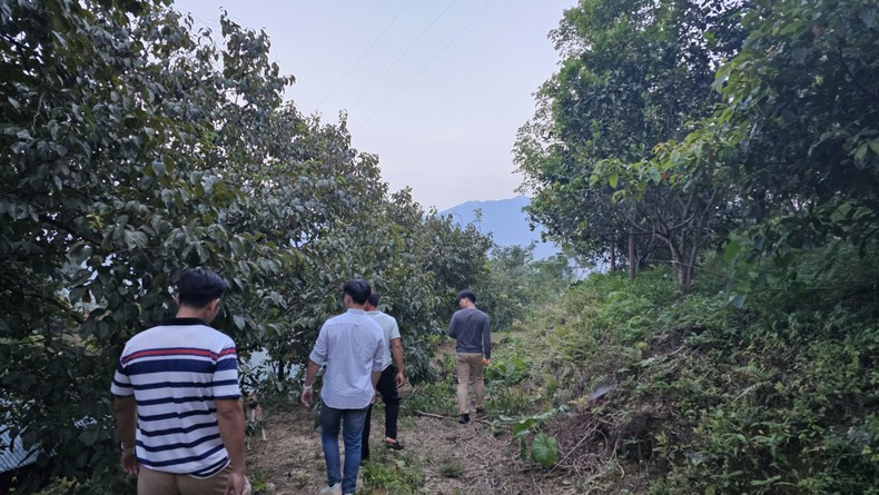 Điểm đặc biệt là Dự án áp dụng các công nghệ tiên tiến như AI và hệ thống thông tin địa lý (GIS) để quản lý và giám sát rừng một cách hiệu quả hơn. Ảnh: NVCC