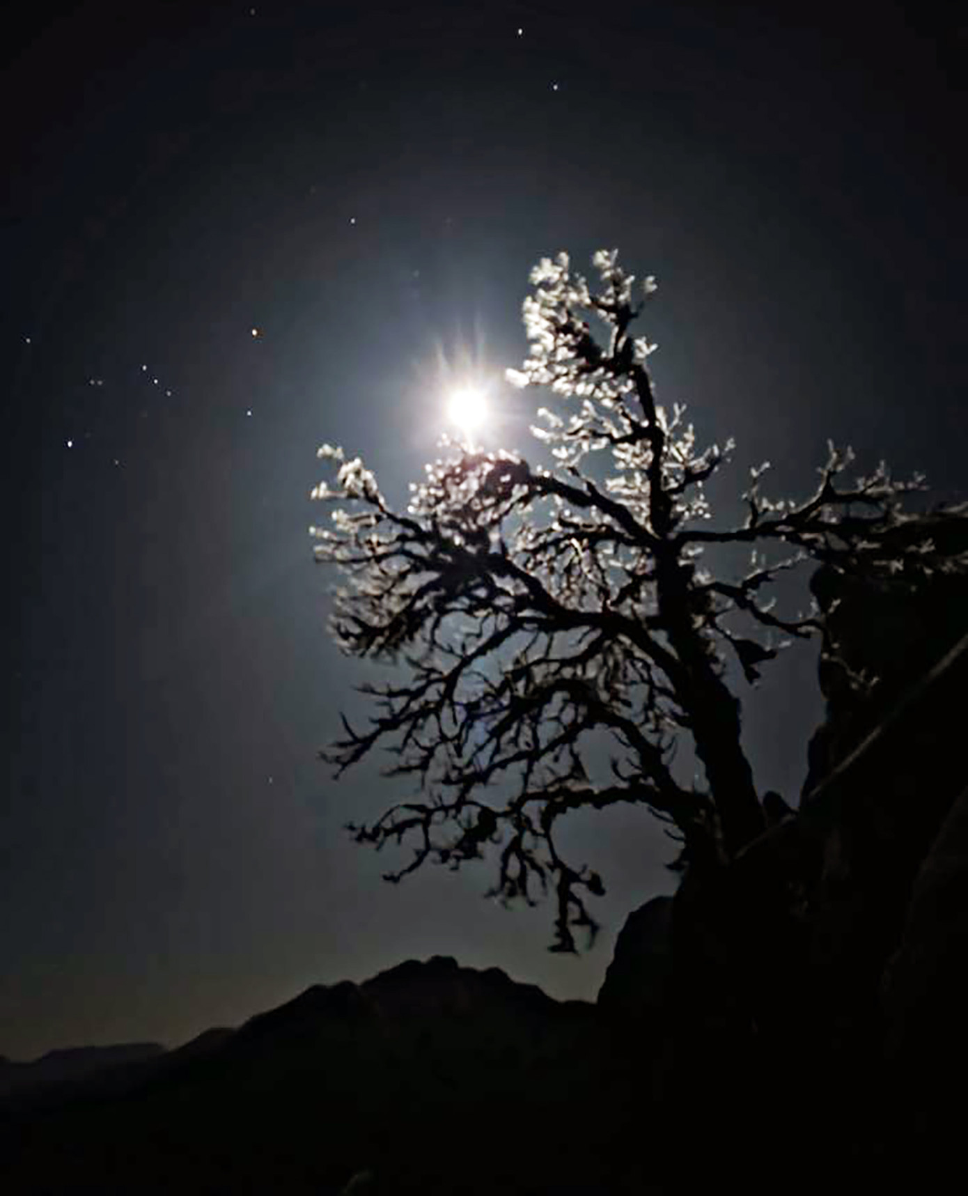 Khung cảnh đẹp như châu Âu.