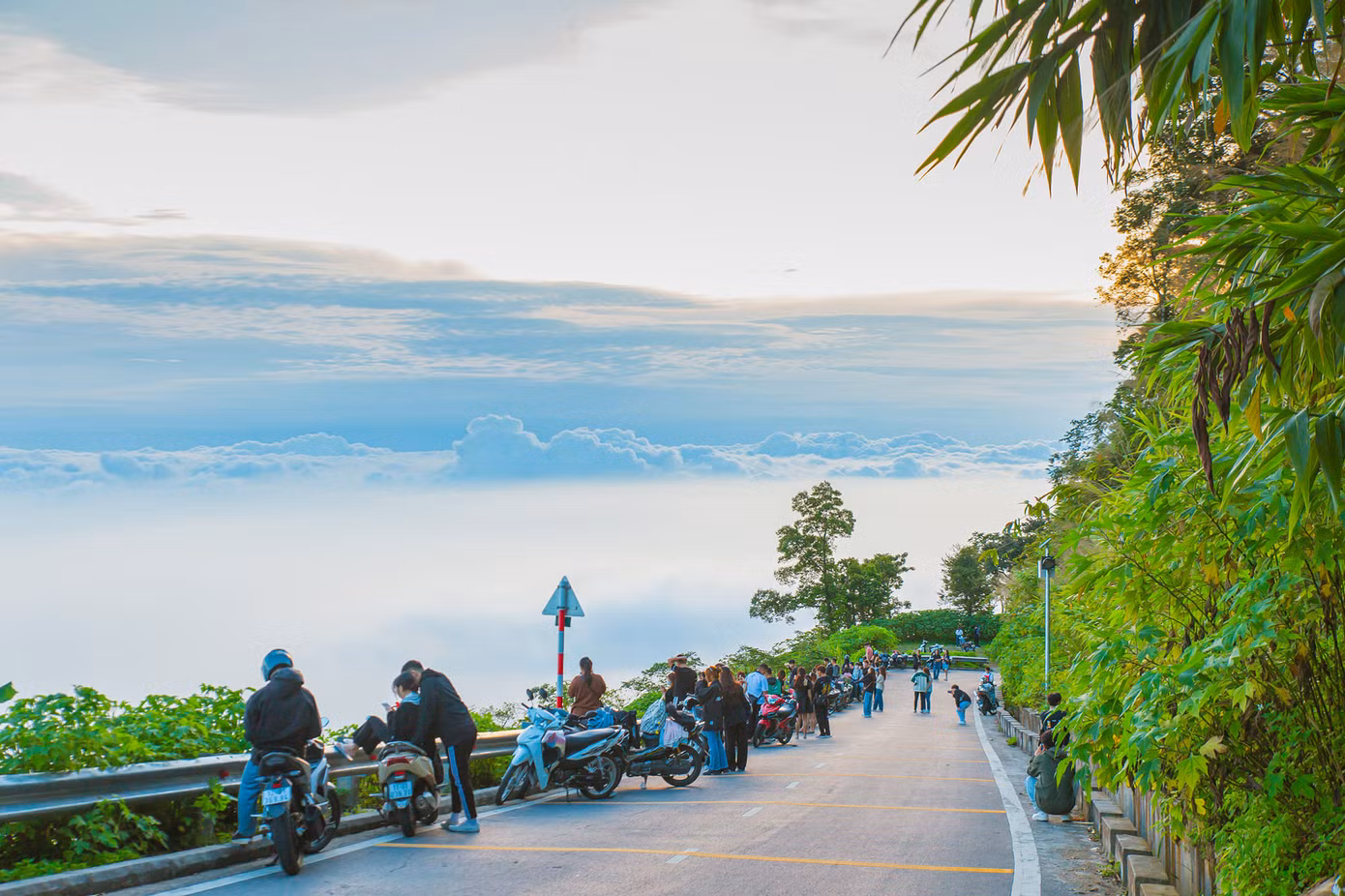 Cung đường săn mây trên núi Ba Vì.