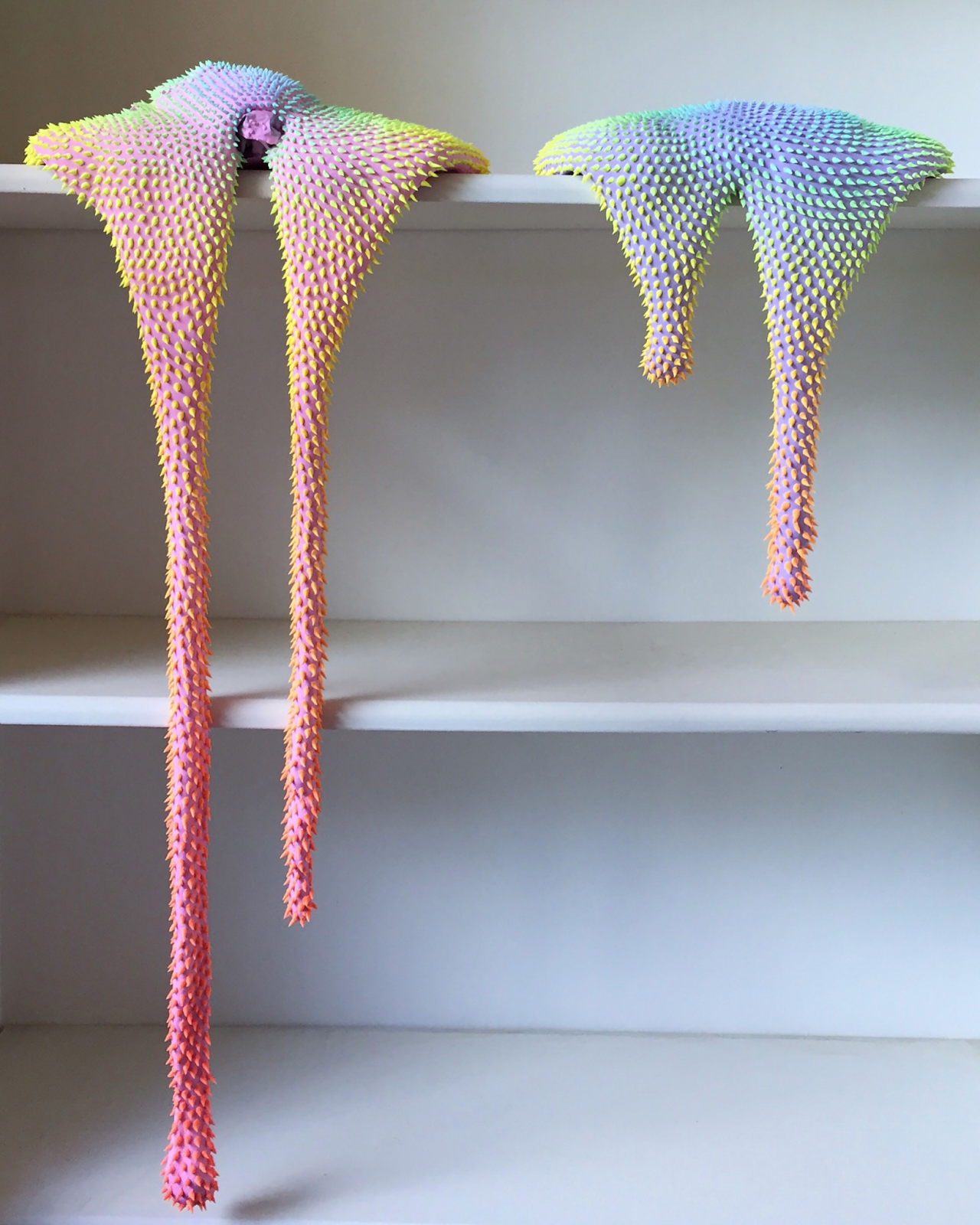 Một tác phẩm từ dự án “Taste the Rainbow” của Lam. (Ảnh: South China Morning Post)