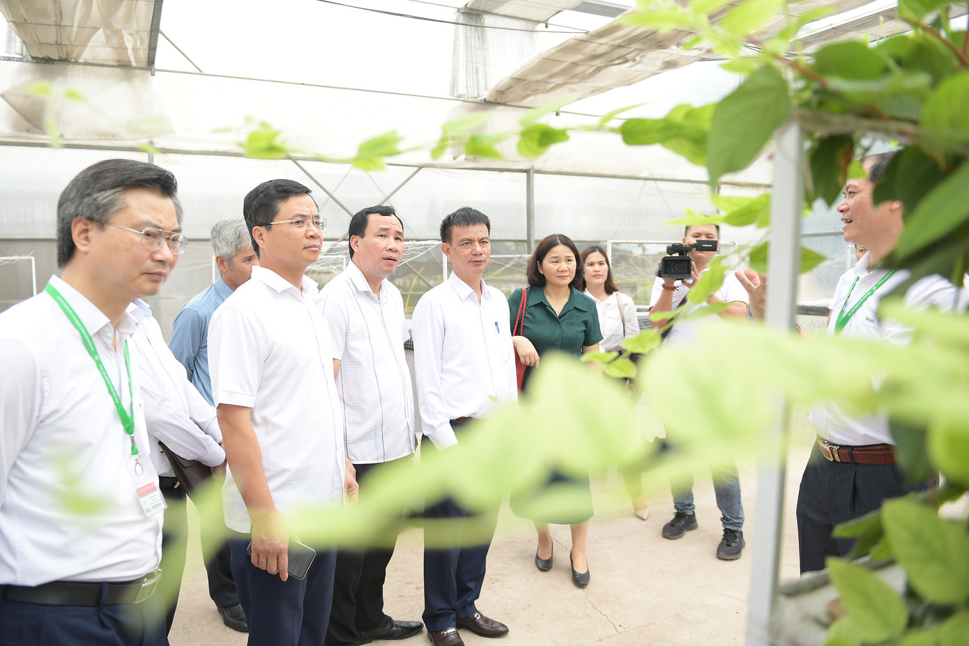 Lãnh đạo các địa phương Quốc Oai, Thạch Thất, Chương Mỹ thăm quan các mô hình phát triển nông nghiệp tại Học viện Nông nghiệp Việt Nam. Lãnh đạo các địa phương Quốc Oai, Thạch Thất, Chương Mỹ thăm quan các mô hình phát triển nông nghiệp tại Học viện Nông nghiệp Việt Nam.