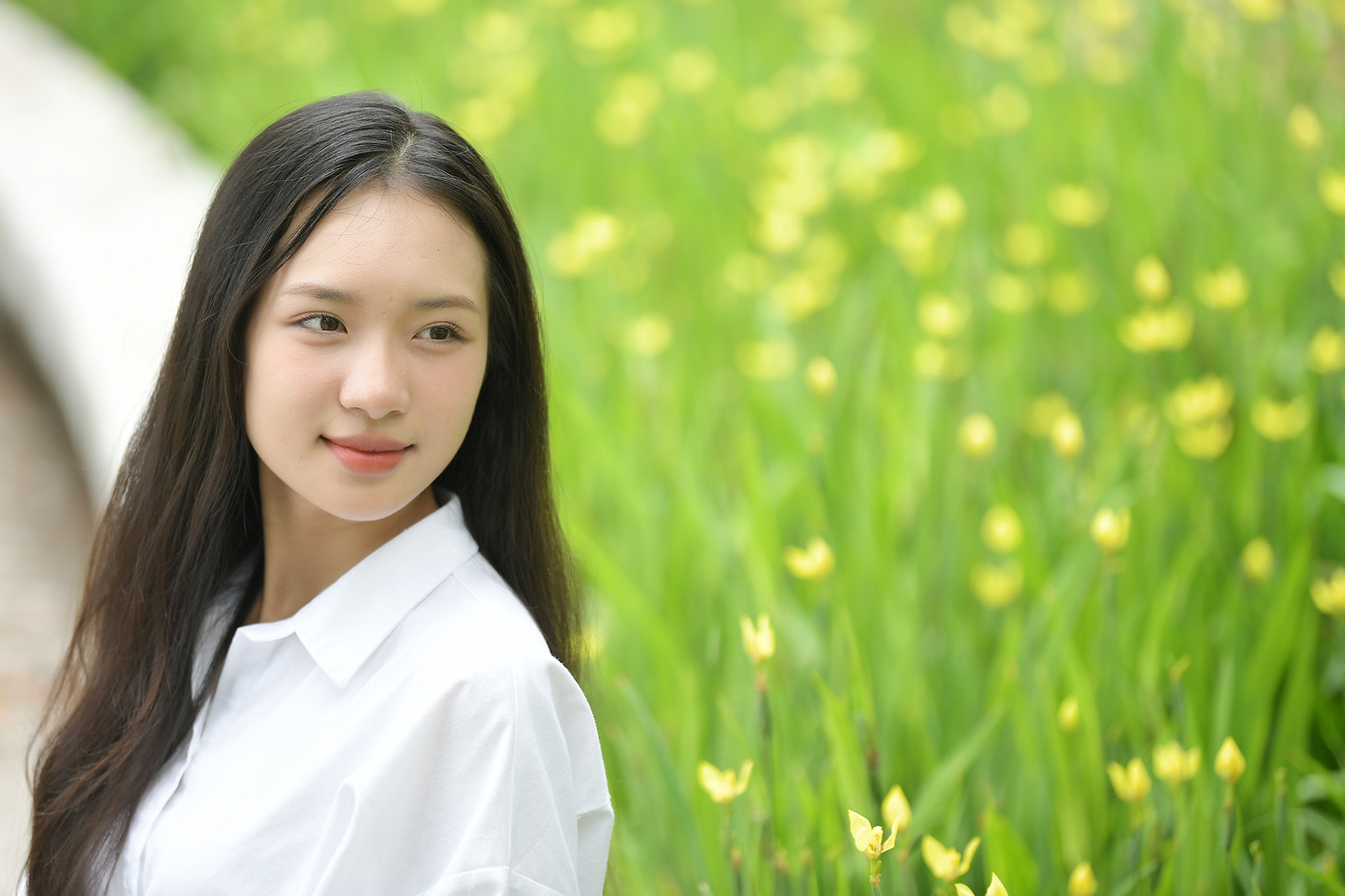 Giang Thanh hiện là người mẫu tự do và cô mong muốn trau dồi bản thân để hướng tới nghề nghiệp là thuyết minh viên. “Tôi đã được đào tạo tại một ngôi trường về văn hóa, tôi tin rằng với nghề thuyết minh viên tôi có thể truyền tải tới các bạn trẻ những kiến thức về lịch sử, ý nghĩa của các di tích, danh lam thắng cảnh của Việt Nam”, cô chia sẻ.