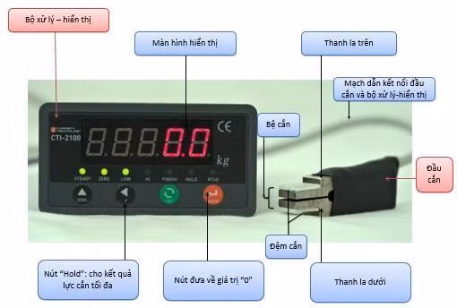 Cấu tạo máy đo lực cắn nhằm đánh giá lực đặt lên răng từ đó phát hiện được những bệnh lý hiện có.