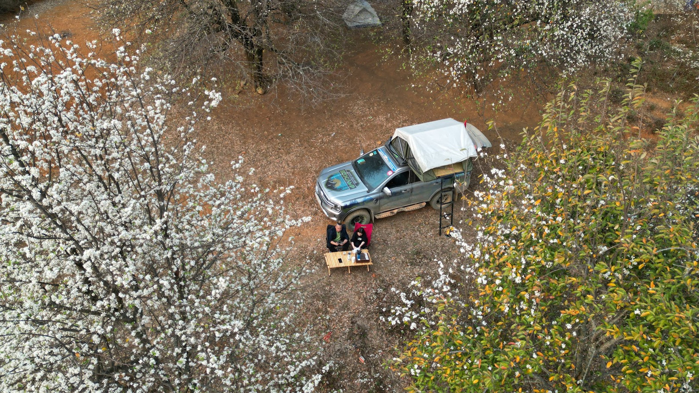 Cứ mỗi độ tháng Ba, cùng với hoa mơ, hoa mận, hoa ban, thì hoa sơn tra lại nở trắng rừng và trên các cung đường. Hoa sơn tra hội tụ nét đẹp tinh túy của đất trời, đây cũng là vẻ đẹp riêng của Ngọc Chiến (tỉnh Sơn La). Ảnh: NGUYỄN NGỌC HẢI