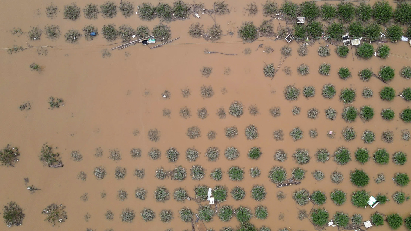 Nông cụ cùng đồ đạc của người dân trôi nổi trên những ruộng hoa màu.