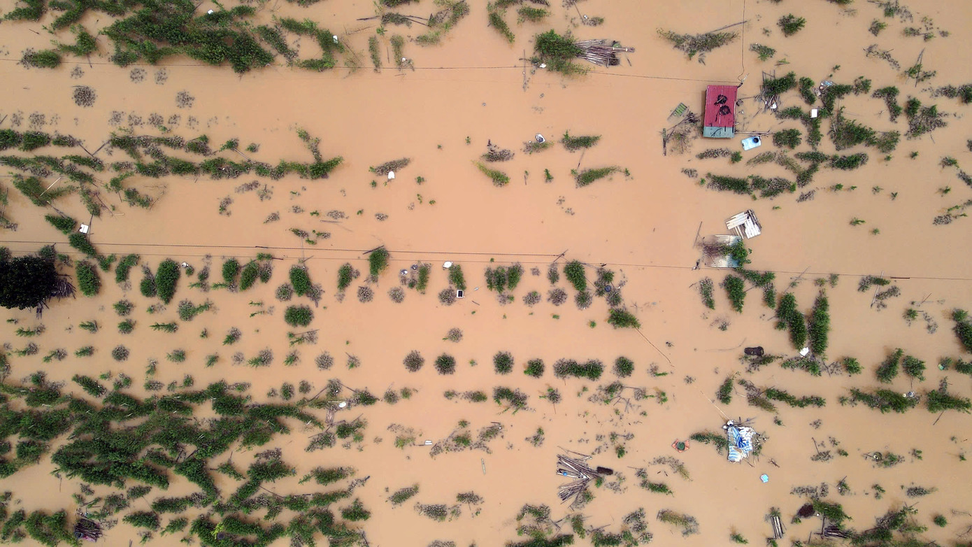 Làng hoa Phú Thượng cách đó không xa cũng không thoát khỏi cảnh biển nước tràn vào ruộng hoa.