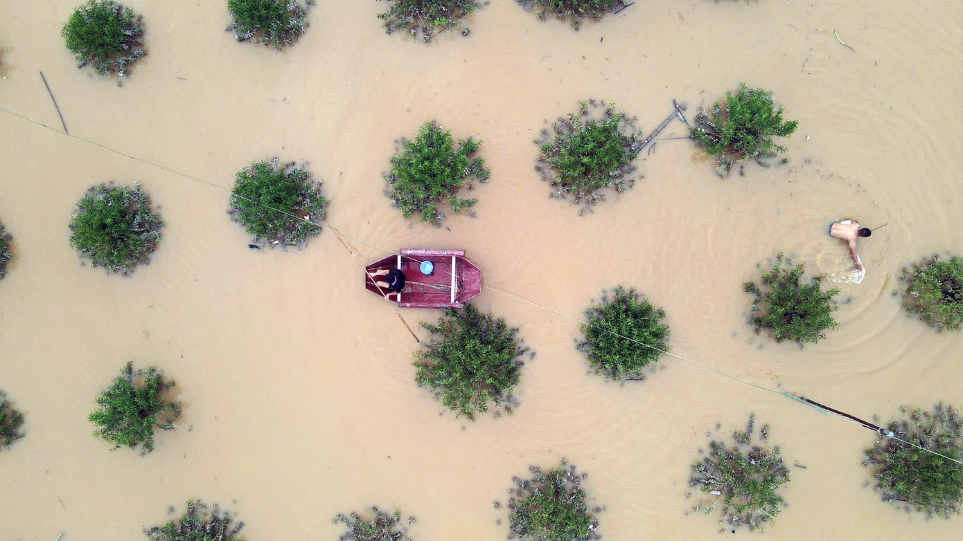 Nông cụ cùng đồ đạc của người dân trôi nổi trên những ruộng hoa màu.