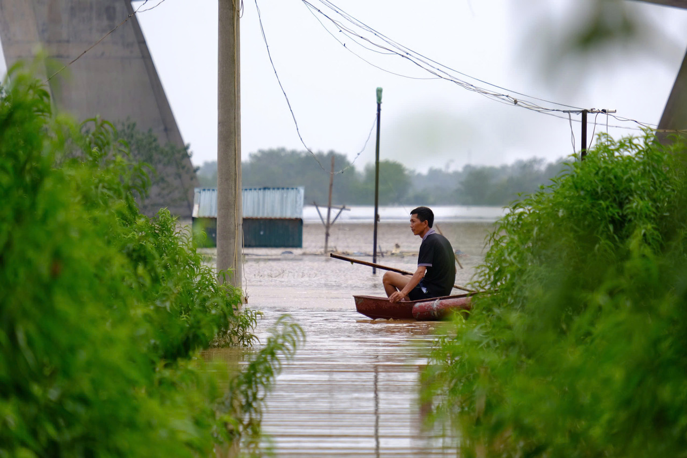 Một số chủ vườn tranh thủ dọn dẹp lại những gì còn sót lại.