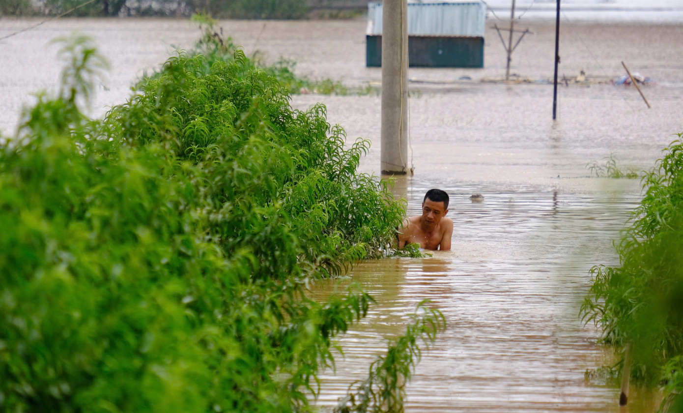Một số người dân tranh thủ ra vườn xem xét lại tài sản hoa màu, chờ nước rút.