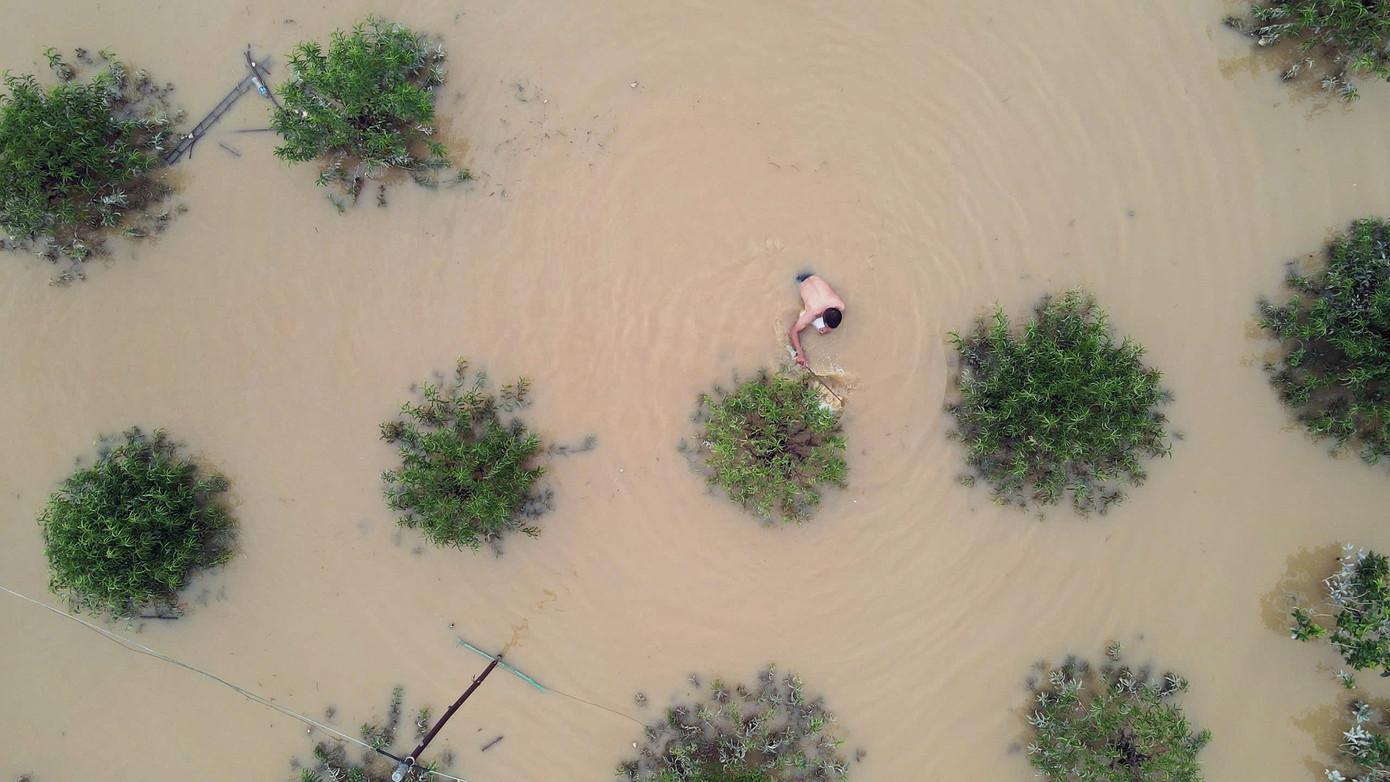 Nông cụ cùng đồ đạc của người dân trôi nổi trên những ruộng hoa màu.