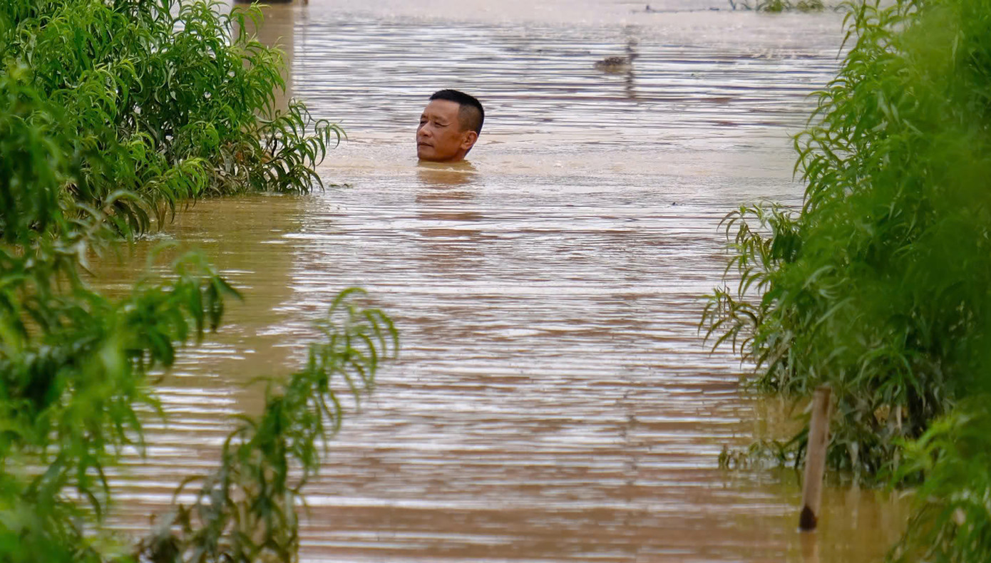 Một số người dân tranh thủ ra vườn xem xét lại tài sản hoa màu, chờ nước rút.