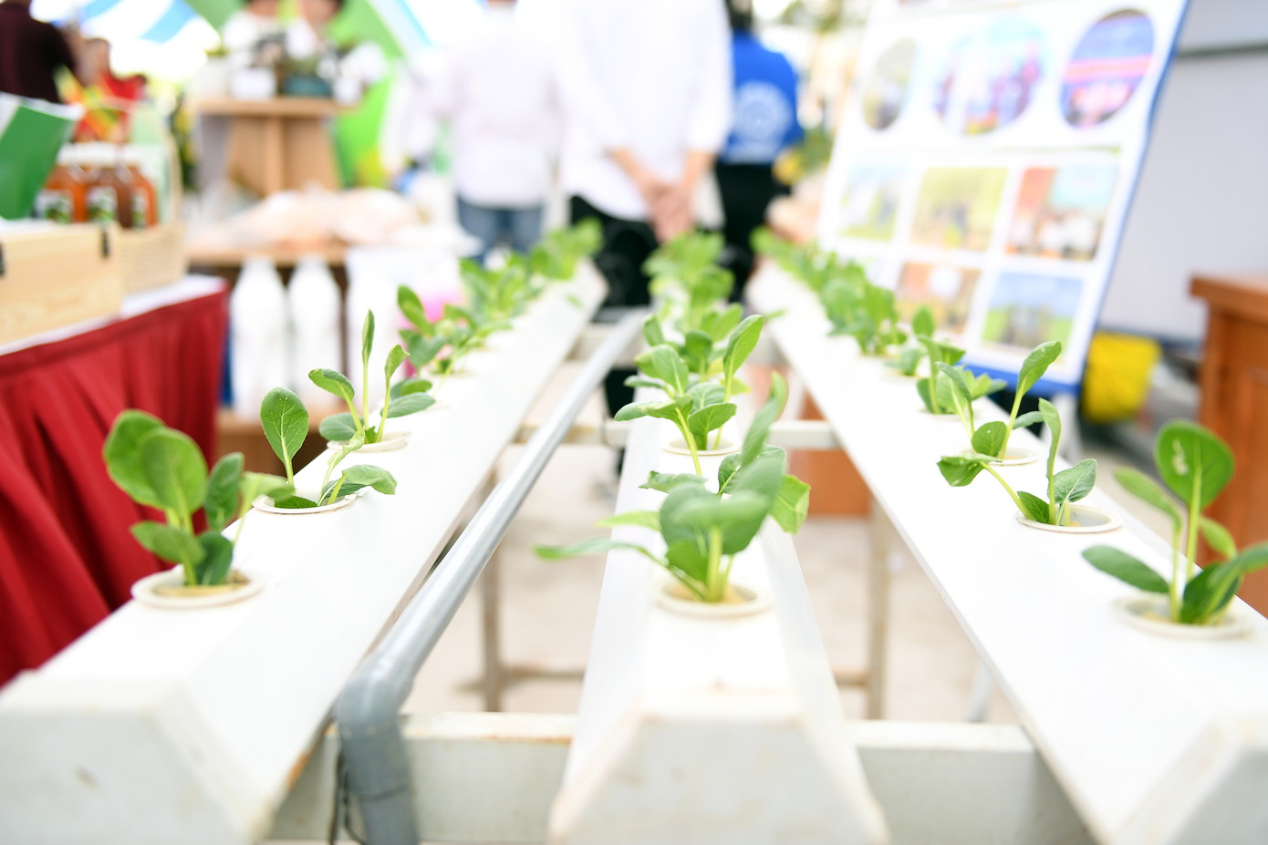 Các sản phẩm khoa học công nghệ của sinh viên được trưng bày tại triển lãm. Các sản phẩm khoa học công nghệ của sinh viên được trưng bày tại triển lãm.