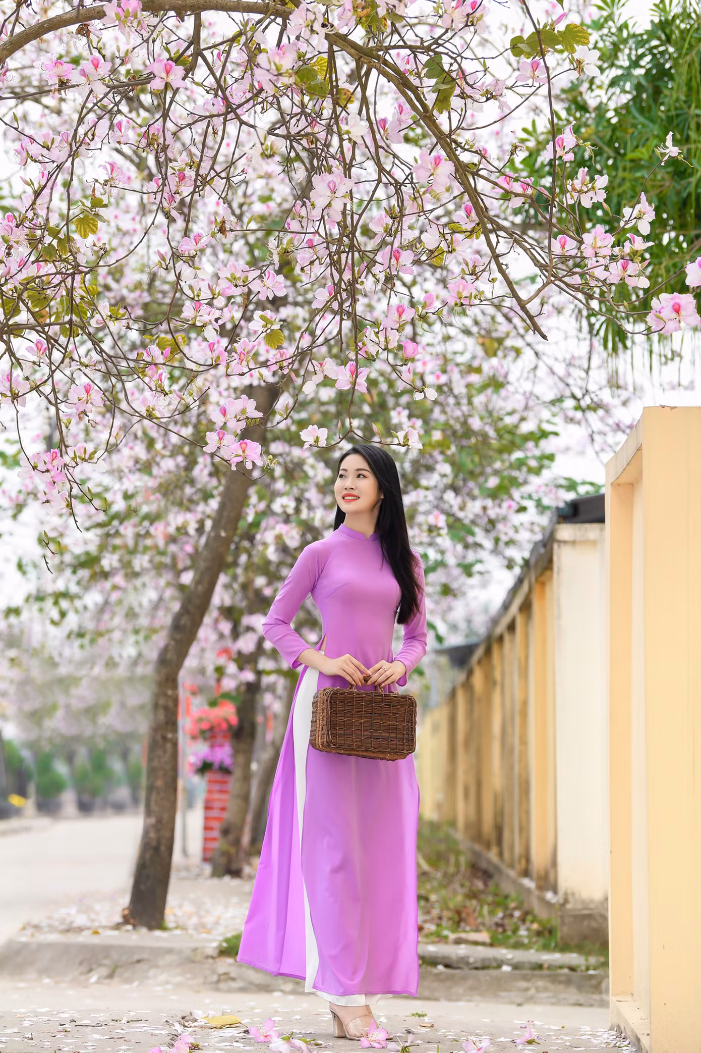 Sắc tím của loài hoa vùng núi Tây Bắc. Ảnh: LÊ XUÂN BÁCH