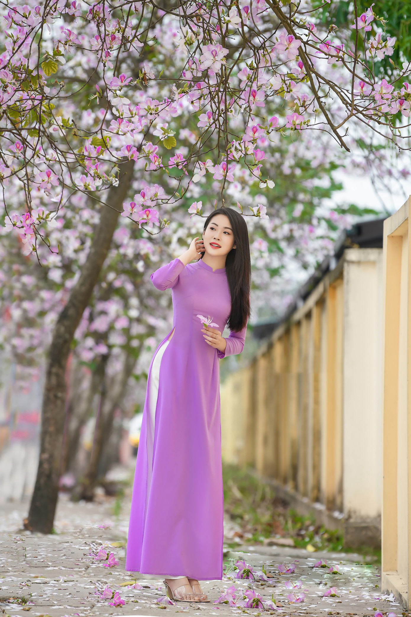 Thiếu nữ tạo hình dưới hàng hoa ban tím. Ảnh: LÊ XUÂN BÁCH